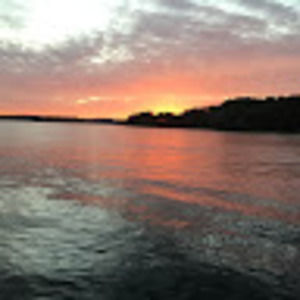 Meet your Posher, Susie